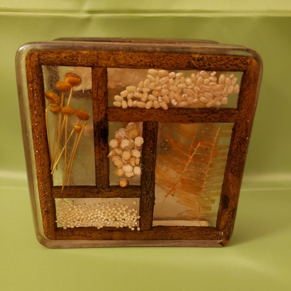 Vintage Colorflo Lucite Napkin Holder Dried Flowers Rice Seeds 5" x 5" x 3"